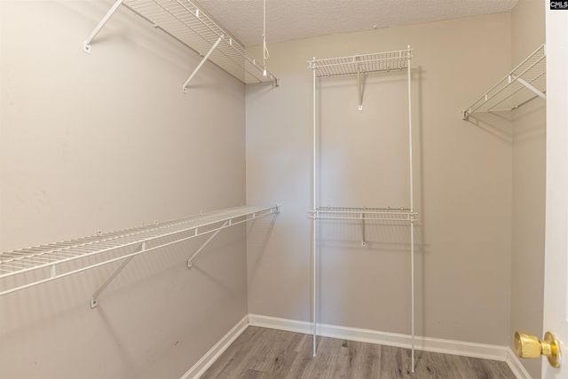204 Stoney Pointe Drive, Chapin, SC 29036