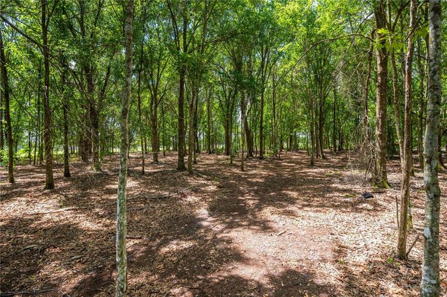 15079 BRAHMA ROAD, Polk City, FL 33868