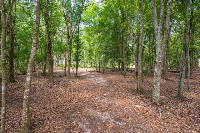 15079 BRAHMA ROAD, Polk City, FL 33868