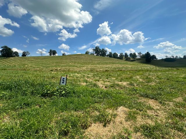 Tract 5 Hawk Landing Road, London, KY 40741