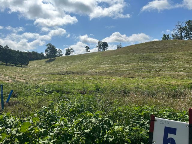 Tract 5 Hawk Landing Road, London, KY 40741