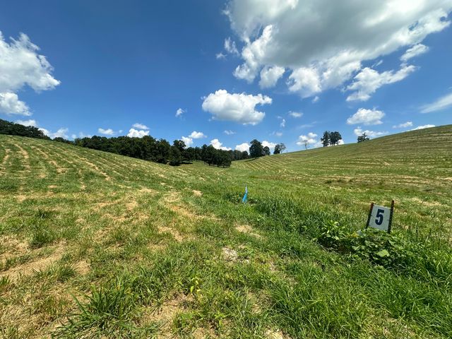 Tract 5 Hawk Landing Road, London, KY 40741