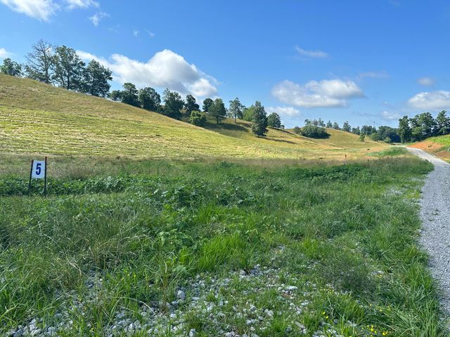 Tract 5 Hawk Landing Road, London, KY 40741