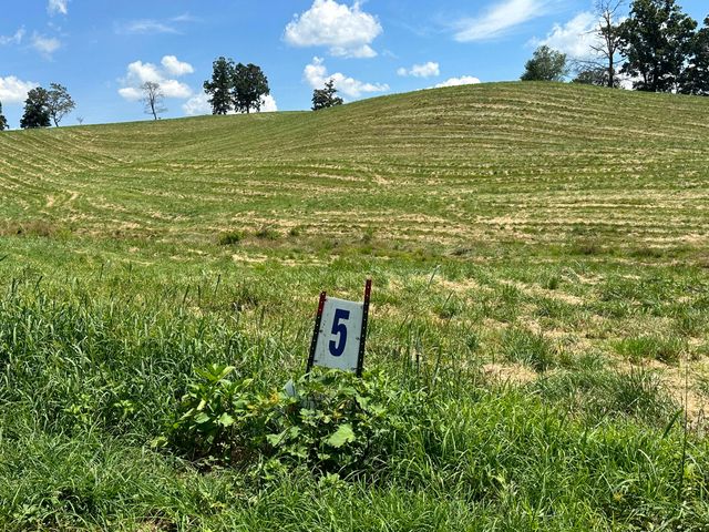 Tract 5 Hawk Landing Road, London, KY 40741