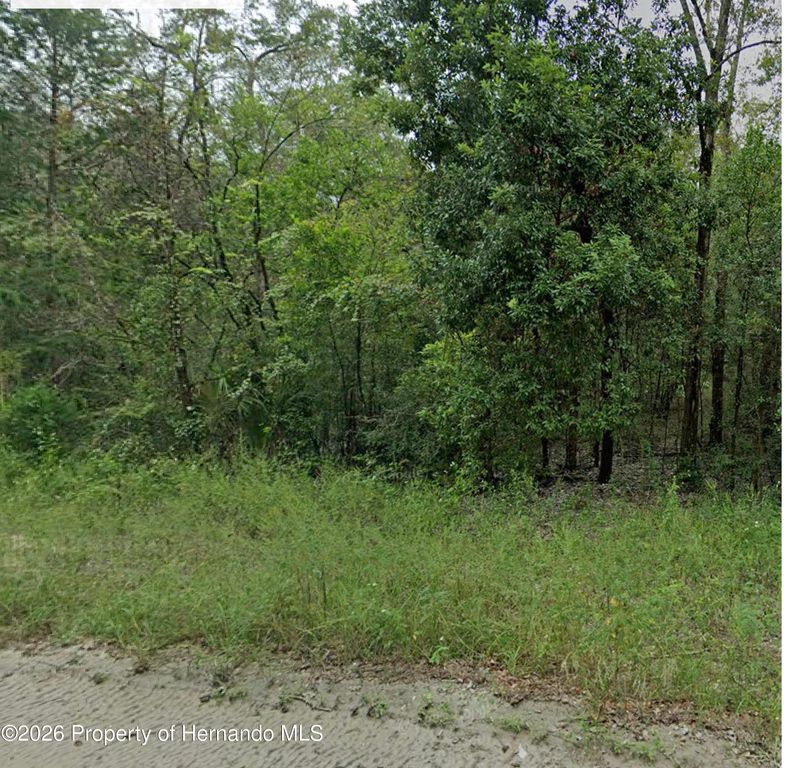 0 NE 160th Avenue, Williston, FL 32696