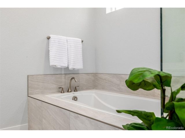 11412 Autumn Moon St, Littleton, CO 80125