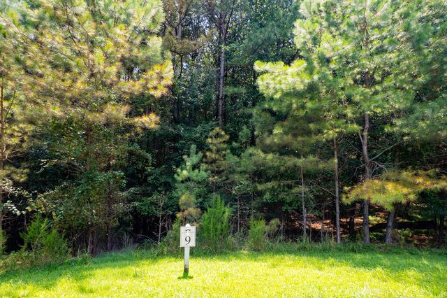 9 Foxpaw Leaf Court, East Ellijay, GA 30536