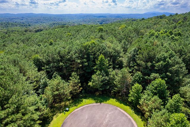 9 Foxpaw Leaf Court, East Ellijay, GA 30536