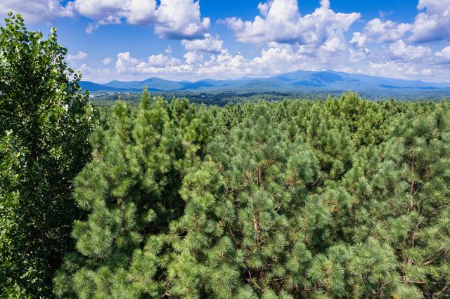 9 Foxpaw Leaf Court, East Ellijay, GA 30536