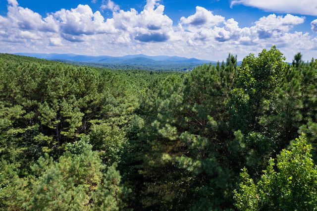 9 Foxpaw Leaf Court, East Ellijay, GA 30536