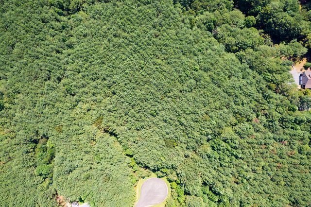 9 Foxpaw Leaf Court, East Ellijay, GA 30536