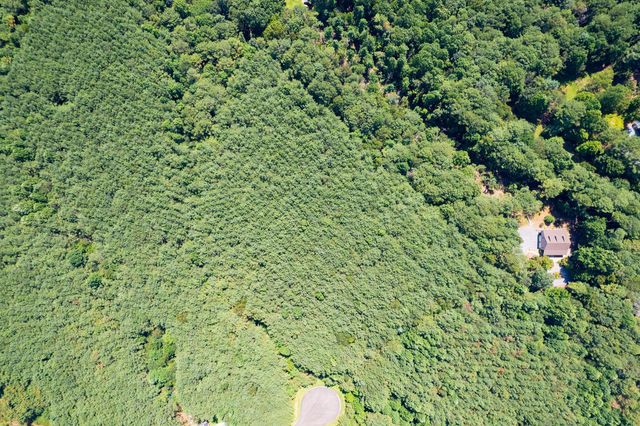 9 Foxpaw Leaf Court, East Ellijay, GA 30536