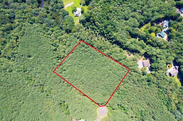 9 Foxpaw Leaf Court, East Ellijay, GA 30536