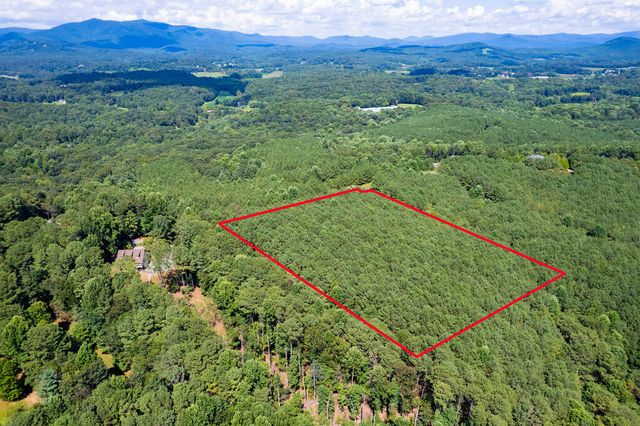9 Foxpaw Leaf Court, East Ellijay, GA 30536