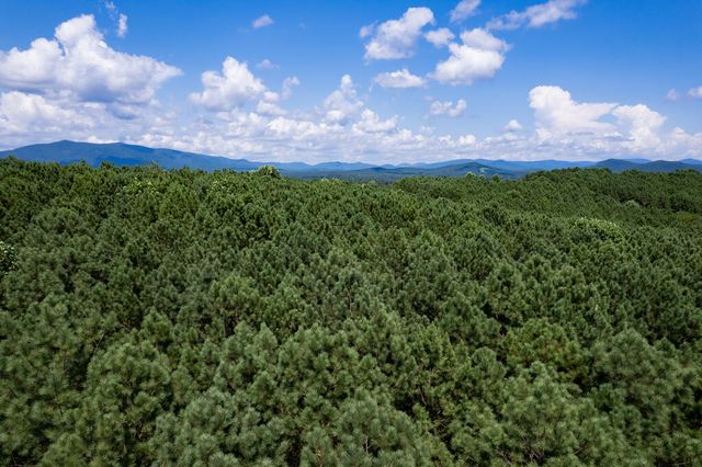 9 Foxpaw Leaf Court, East Ellijay, GA 30536