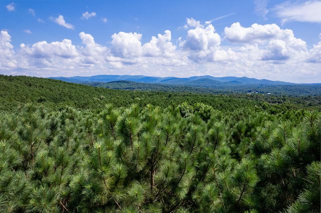 9 Foxpaw Leaf Court, East Ellijay, GA 30536