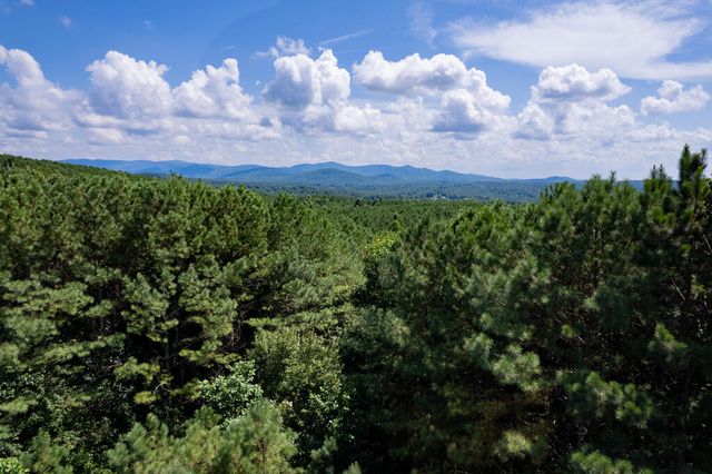 9 Foxpaw Leaf Court, East Ellijay, GA 30536