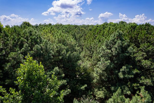 9 Foxpaw Leaf Court, East Ellijay, GA 30536