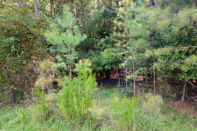 9 Foxpaw Leaf Court, East Ellijay, GA 30536