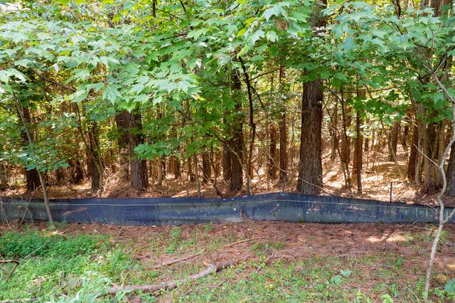9 Foxpaw Leaf Court, East Ellijay, GA 30536