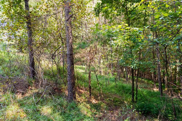 9 Foxpaw Leaf Court, East Ellijay, GA 30536