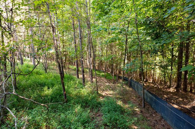 9 Foxpaw Leaf Court, East Ellijay, GA 30536