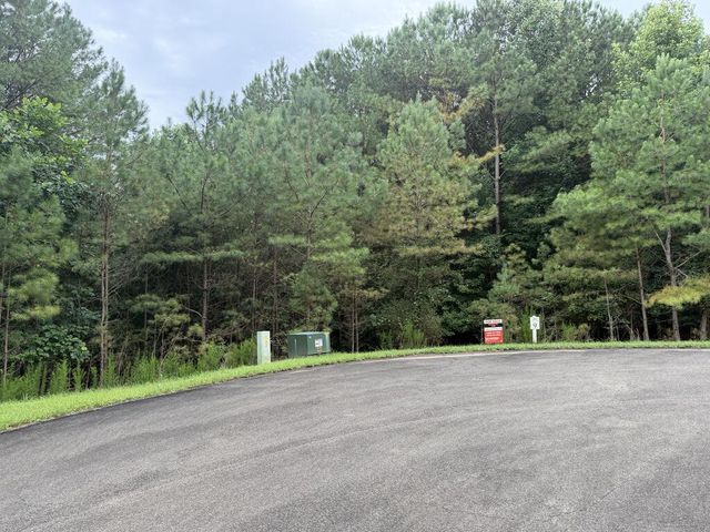 9 Foxpaw Leaf Court, East Ellijay, GA 30536