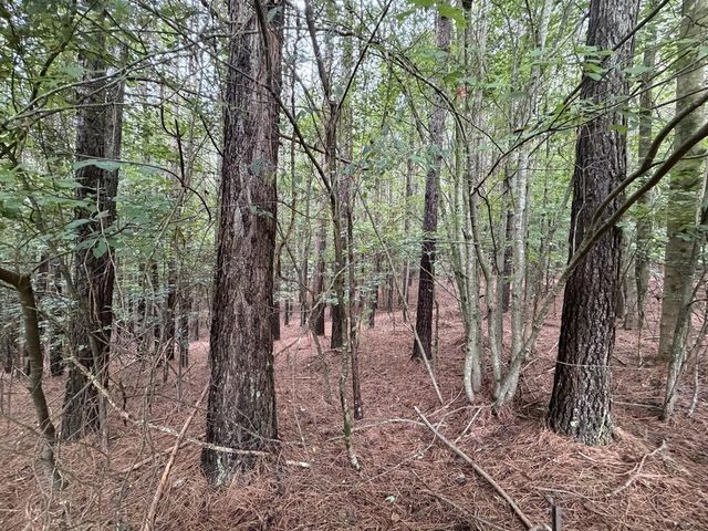9 Foxpaw Leaf Court, East Ellijay, GA 30536