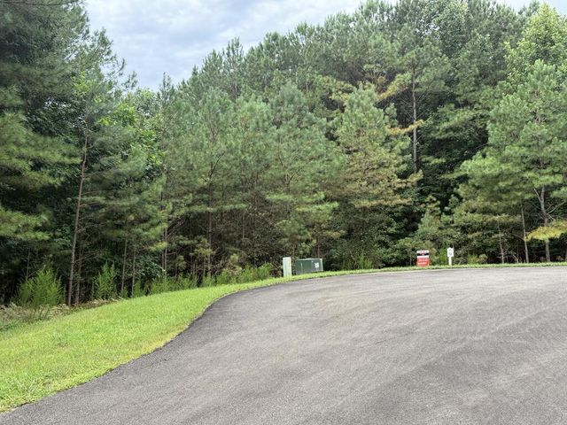 9 Foxpaw Leaf Court, East Ellijay, GA 30536