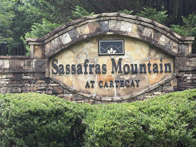 9 Foxpaw Leaf Court, East Ellijay, GA 30536