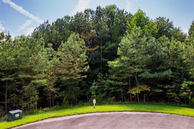 9 Foxpaw Leaf Court, East Ellijay, GA 30536