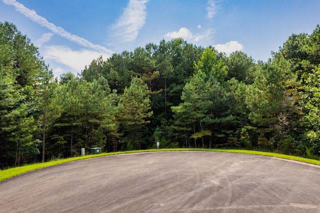 9 Foxpaw Leaf Court, East Ellijay, GA 30536