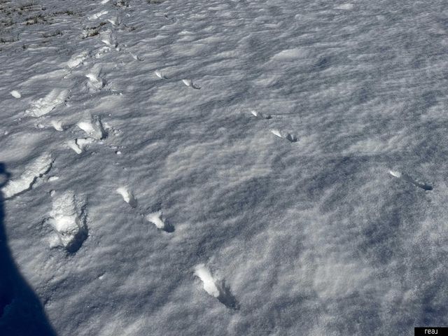 County Road P Road, Yutan, NE 68073