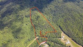 0 Bear Trail, Cana, VA 24317