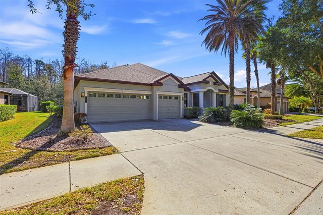 7907 HAMPTON LAKE DRIVE, Tampa, FL 33647