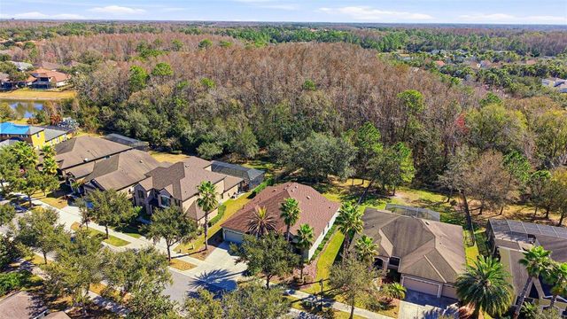 7907 HAMPTON LAKE DRIVE, Tampa, FL 33647