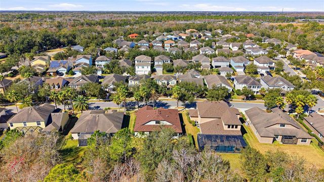 7907 HAMPTON LAKE DRIVE, Tampa, FL 33647