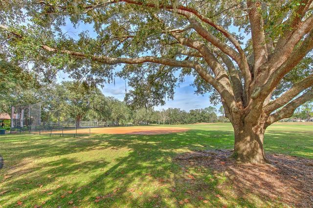 9205 CELEBRATION COURT, Tampa, FL 33647