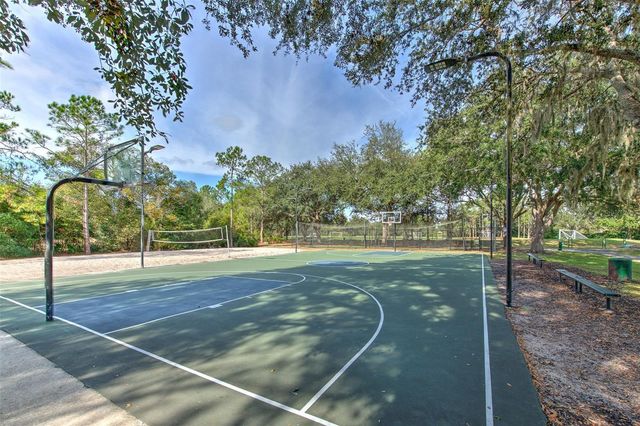 9205 CELEBRATION COURT, Tampa, FL 33647