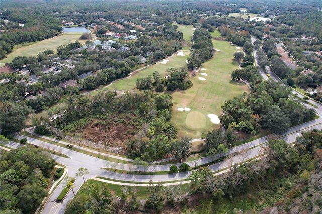 9205 CELEBRATION COURT, Tampa, FL 33647