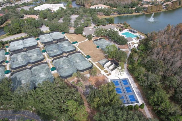 9205 CELEBRATION COURT, Tampa, FL 33647