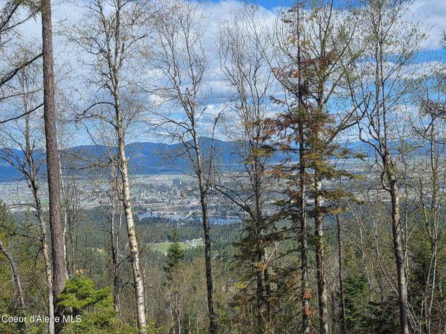 NKA Blessing Hill Rd, Post Falls, ID 83854