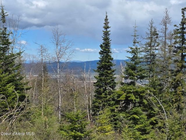 NKA Blessing Hill Rd, Post Falls, ID 83854