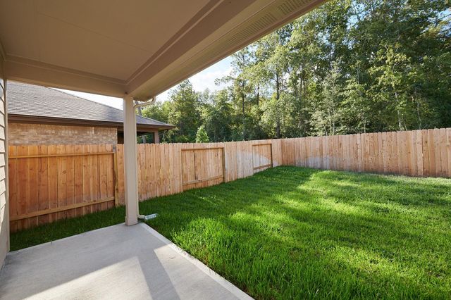 16877 Short Pines Drive, Conroe, TX 77302