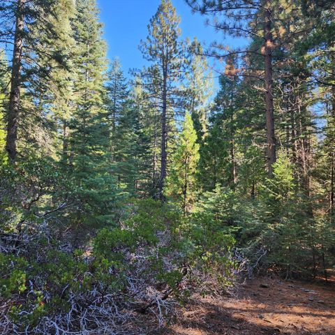 CA-44, Shingletown, CA 96088