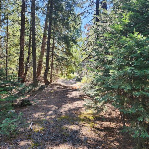 CA-44, Shingletown, CA 96088