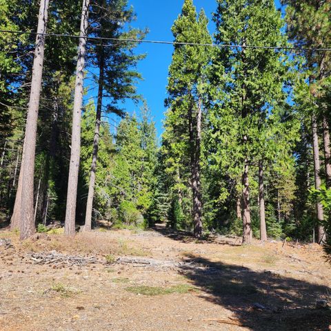 CA-44, Shingletown, CA 96088