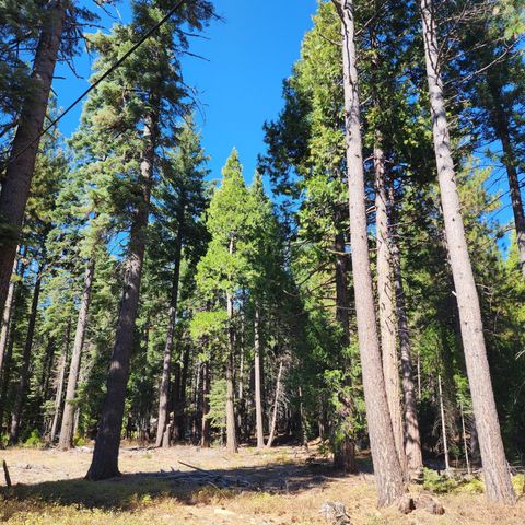 CA-44, Shingletown, CA 96088