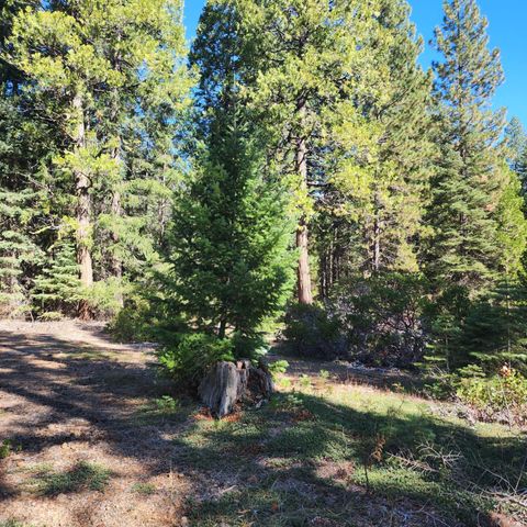 CA-44, Shingletown, CA 96088