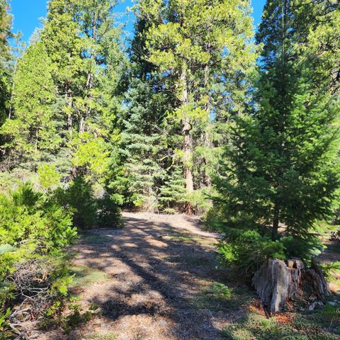 CA-44, Shingletown, CA 96088